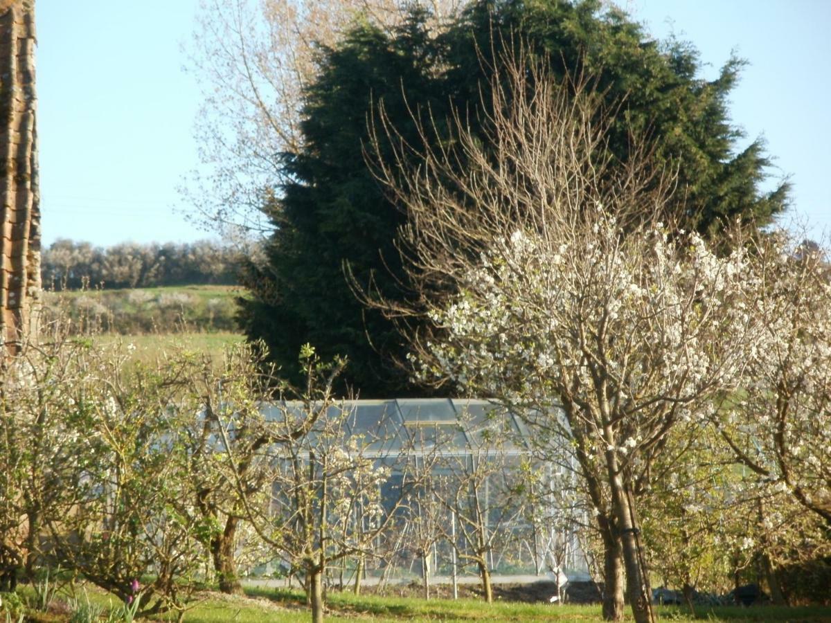 La Ferme Fleurie Villa Echinghen Dış mekan fotoğraf
